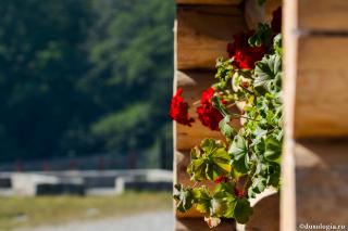 Foto: Bogdan Zamfirescu